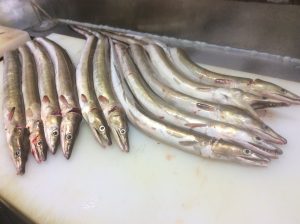 IMG_0337